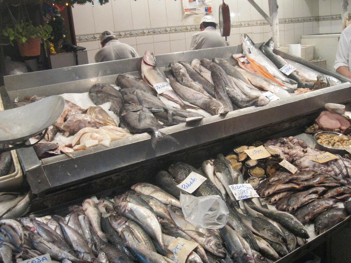 Recetas de pescado. | Elige el que más te guste para hacer estas preparaciones. (Fuente: Archivo).