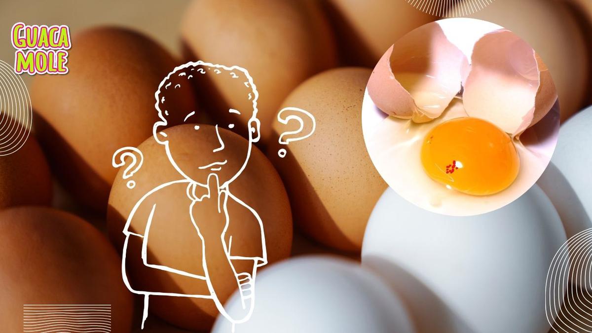 Punto rojo en yema de huevo. | ¿Es sano el punto rojo en tu huevo? (Canva).