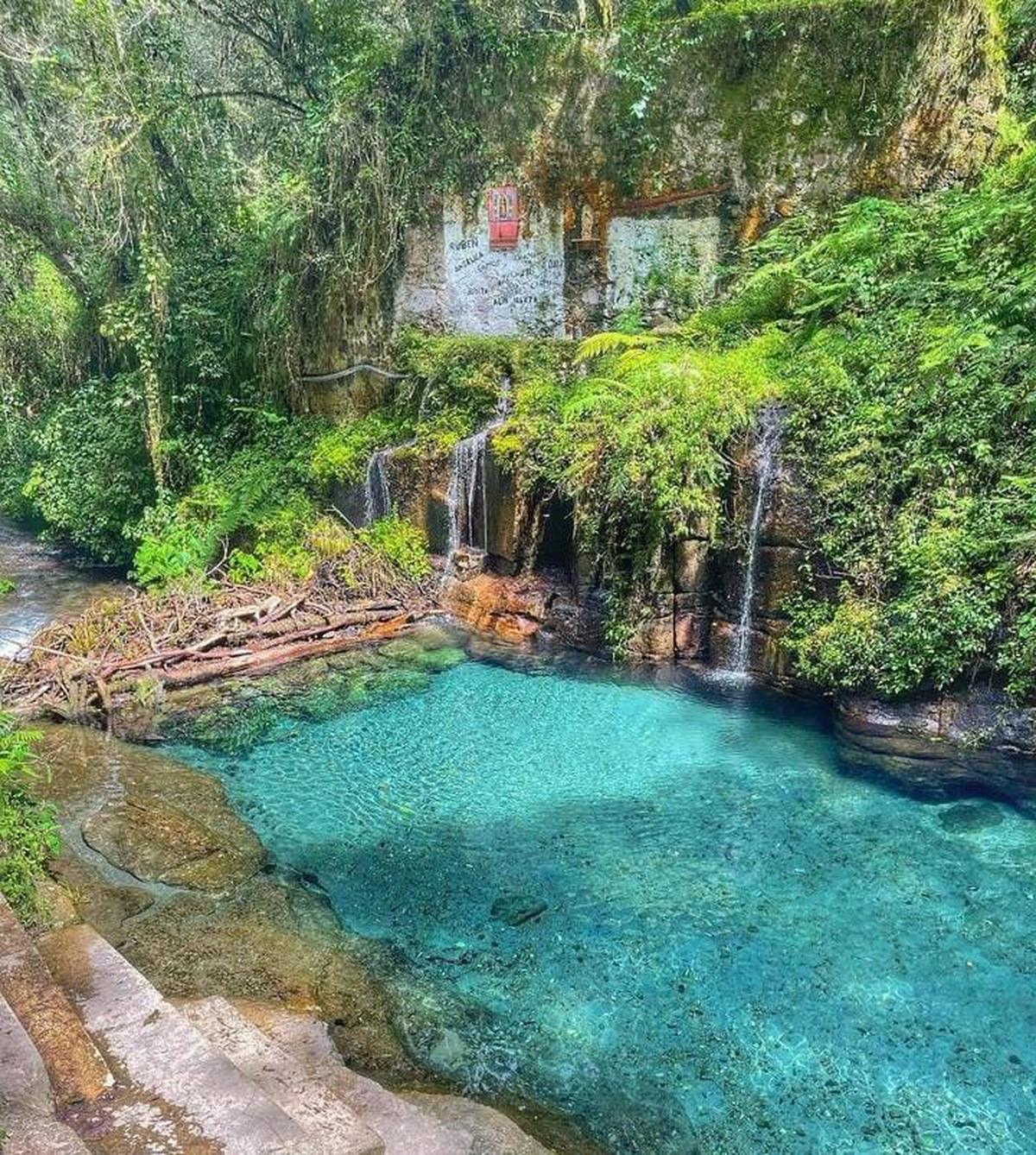Reserva natural Pancho Poza | El paraíso escondido de Veracruz, Pancho Poza (Rofeer_/Instagram).
