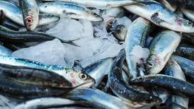 Aprende a comprar pescados y mariscos y no pagar de más por uno de mala calidad