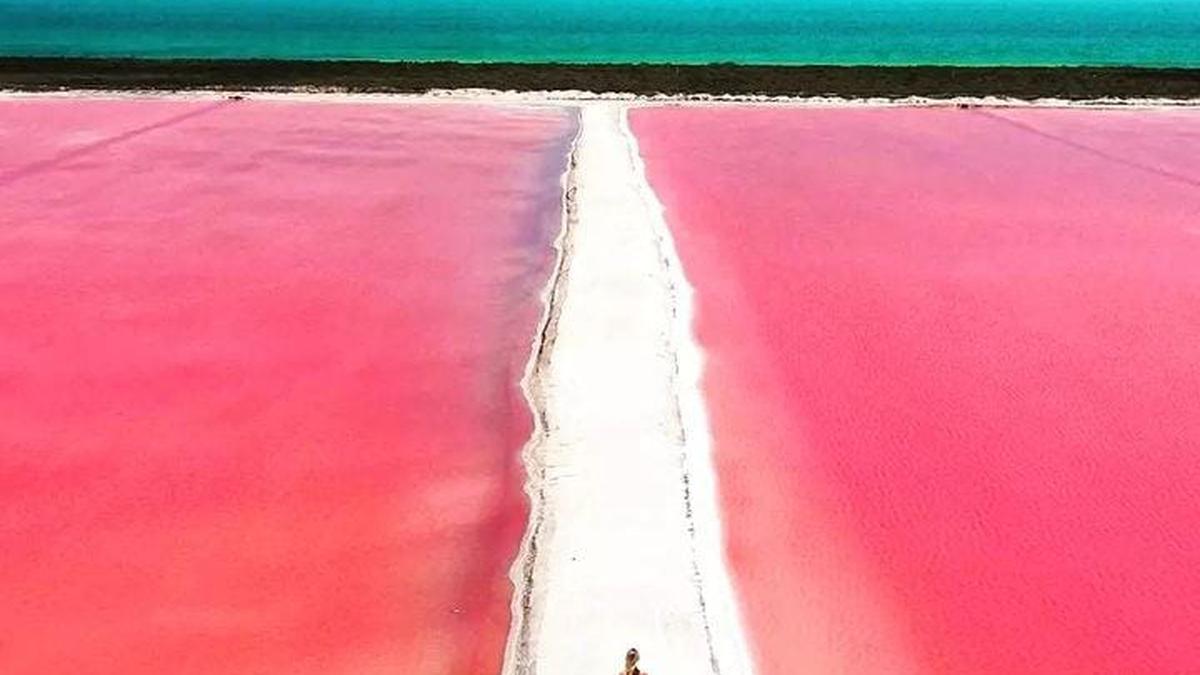 Playa Las coloradas en Yucatán | La playa que se pinta color rosa en una temporada del año (Kreatravel/Instagram)