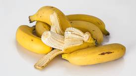 Aprovecha la cáscara de plátano para tus plantas ¡no la tires!