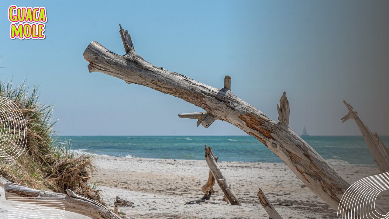 Altair Jarabo: la hermosa playa de México donde se vio a la actriz  disfrutar de unas vacaciones | Guacamole