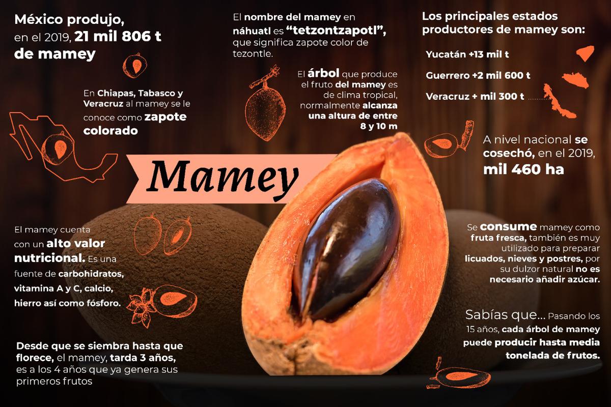 Mamey, fruta exótica | El mamey es una dulce fruta exótica de las más apreciadas en nuestro país. (GOBMX)