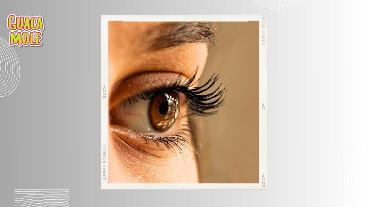Ojos amarillentos. | Así puedes prevenir el amarillo en tus ojos. (Canva).
