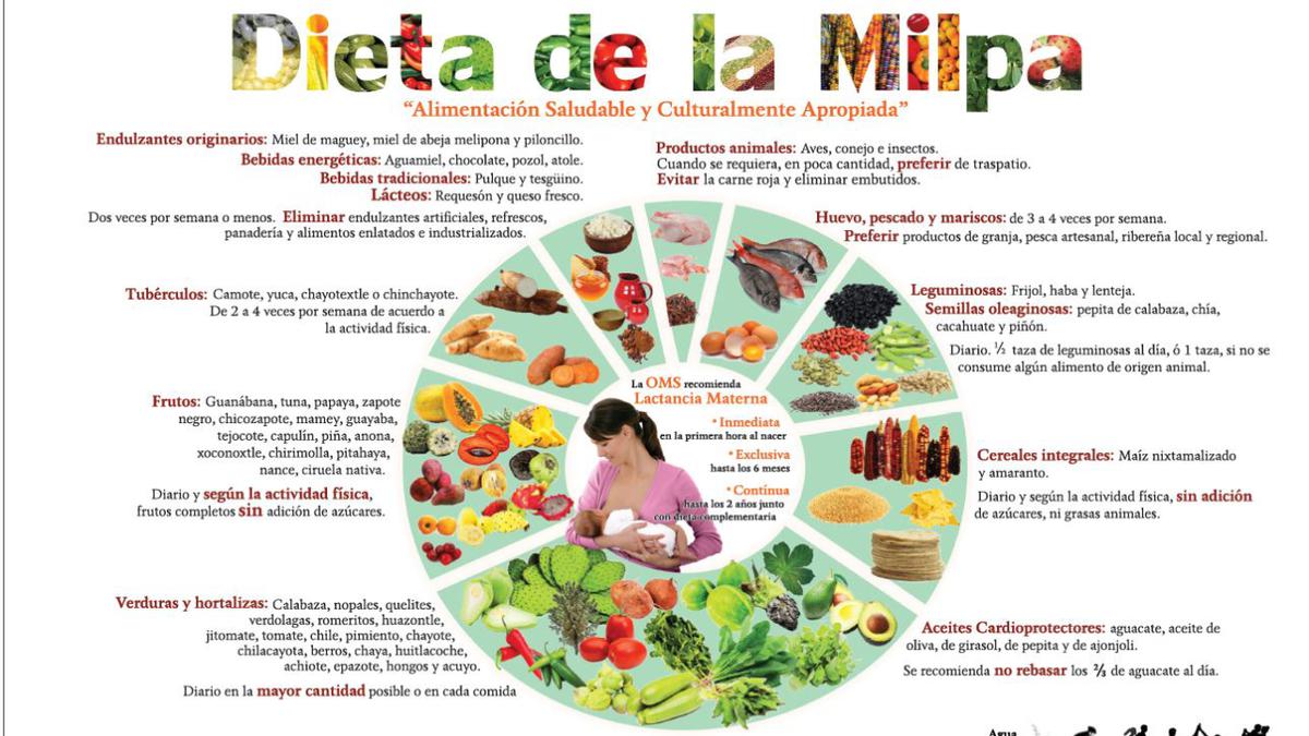Beneficios de la dieta de la milpa. | De la tierra a la mesa: los beneficios de una alimentación basada en la comida mexicana. (Gobierno de México)