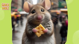 ¿Los ratones realmente son amantes del queso? 