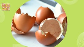 Utiliza cáscara de huevo como fertilizante para tus plantas