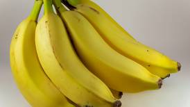 Los beneficios que no conocías de comer plátano