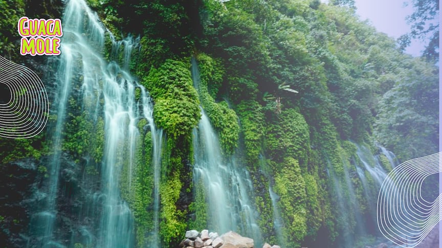 Visita estas hermosas cascadas de México y sorprendete con su gran belleza natural. (Canva)