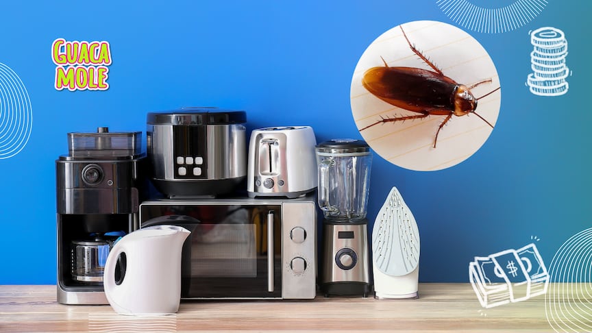 Estos son los electrodomésticos favoritos de las cucarachas. (Canva)