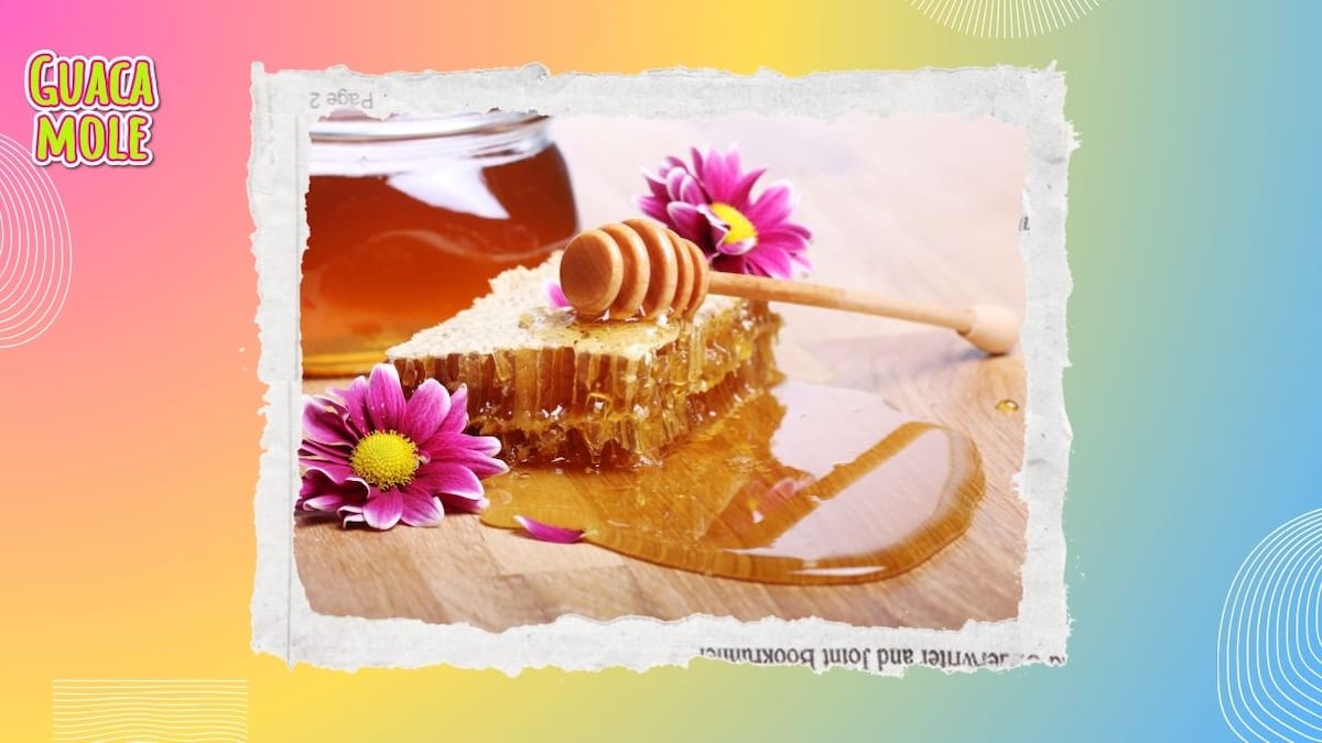 Estas son varios tipos de miel que puedes consumir. (Freepik.com).