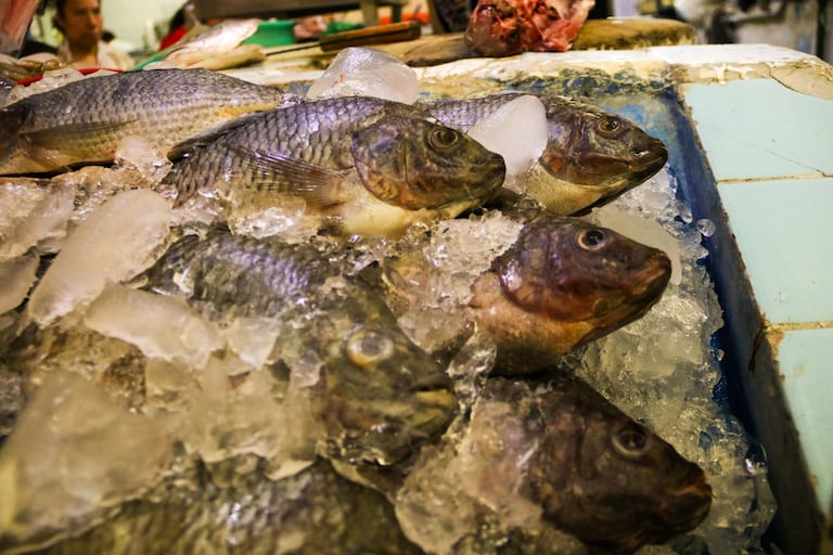 Pescado fresco.