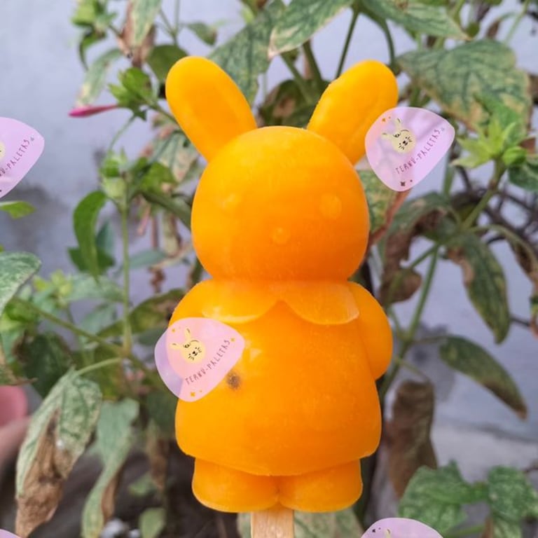Una paleta de hielo de los Ternurines