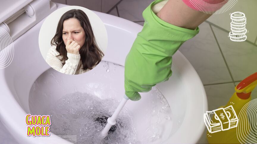 Si tu baño huele a orina, ¡no te preocupes! Aquí te contamos los trucos para que tenga un olor fresco y agradable. (Canva)
