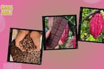 Aviéntate a descubrir el proceso del cacao chiapaneco desde cero y fascinarte con su sabor. (Especial: @tancacao).