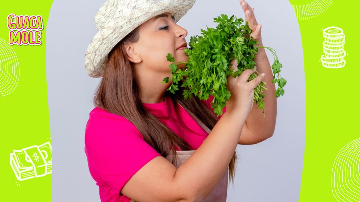 Con este sencillo truco mantendrás siempre fresco tu cilantro y otras hierbas. (Freepik)