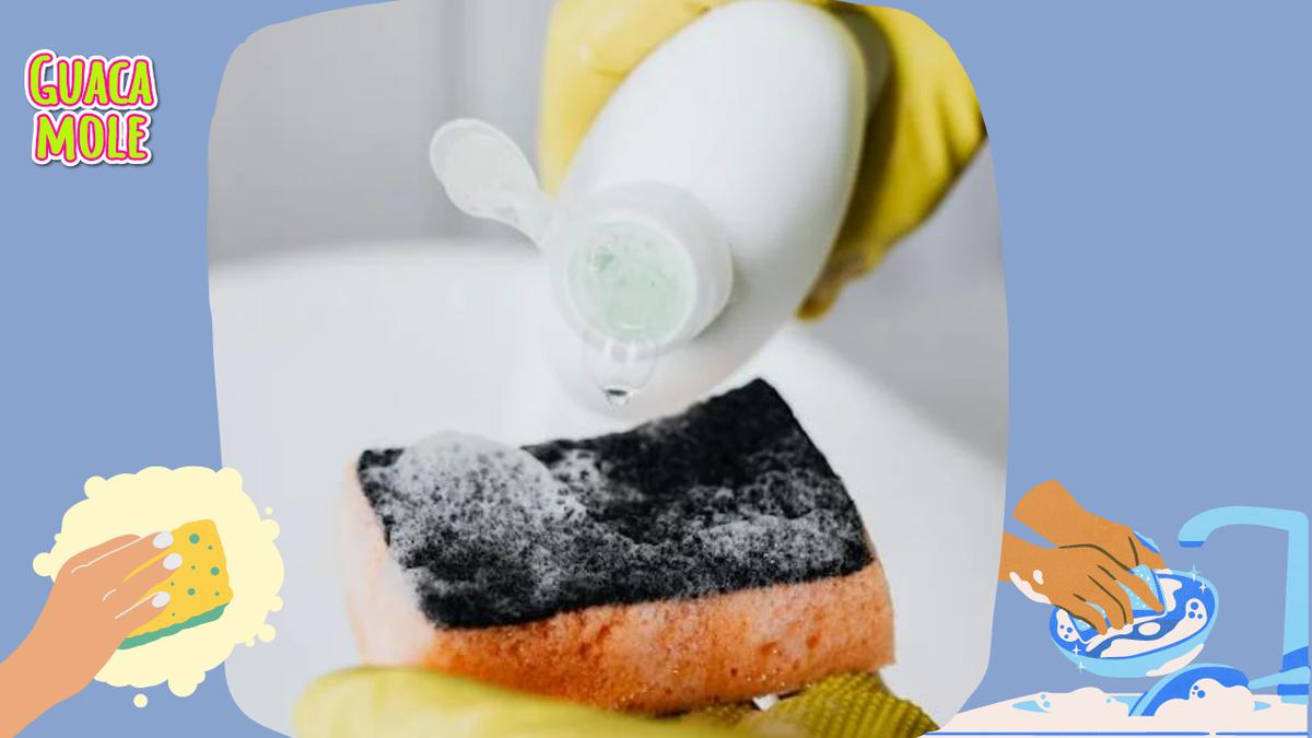¿Cómo desinfectar tu esponja para lavar trastes?