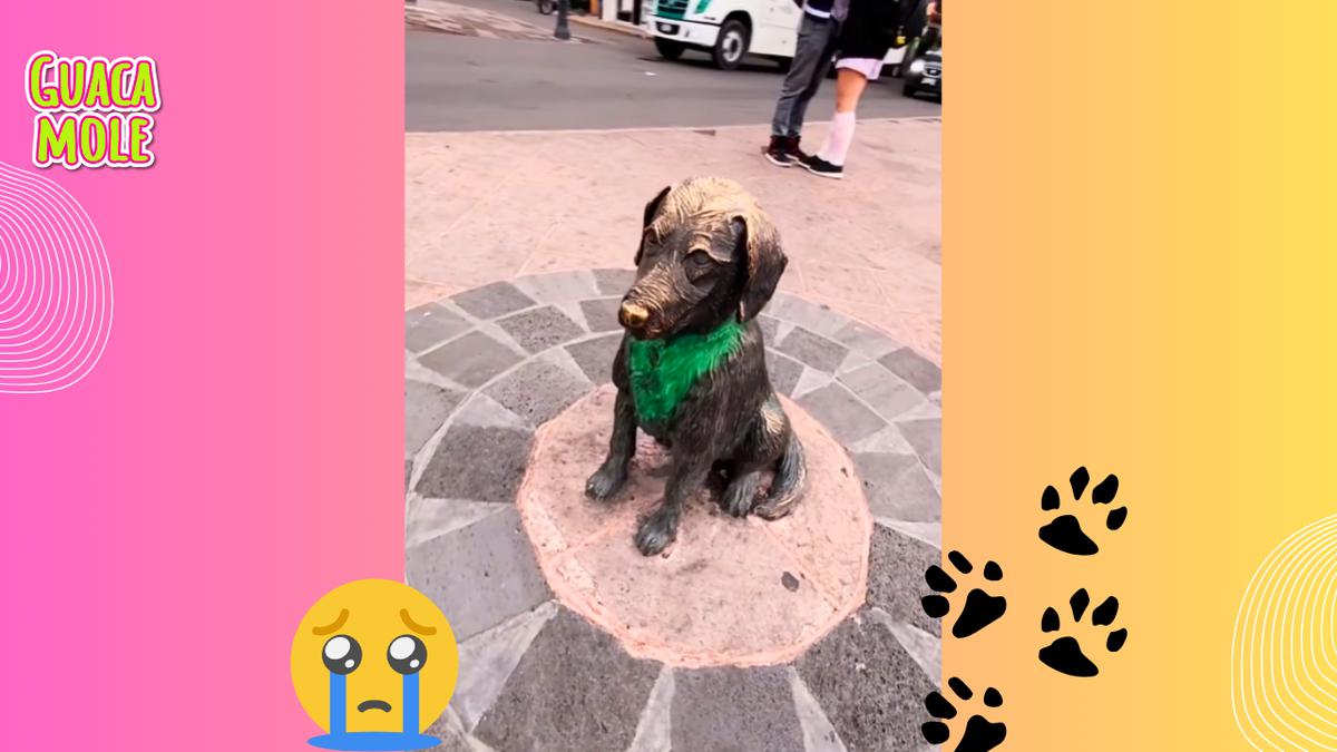 Pimpon. | Esta es la historia de 'Pimpon', el perrito más fiel que enterneció a México. (Especial: @mchelerias).