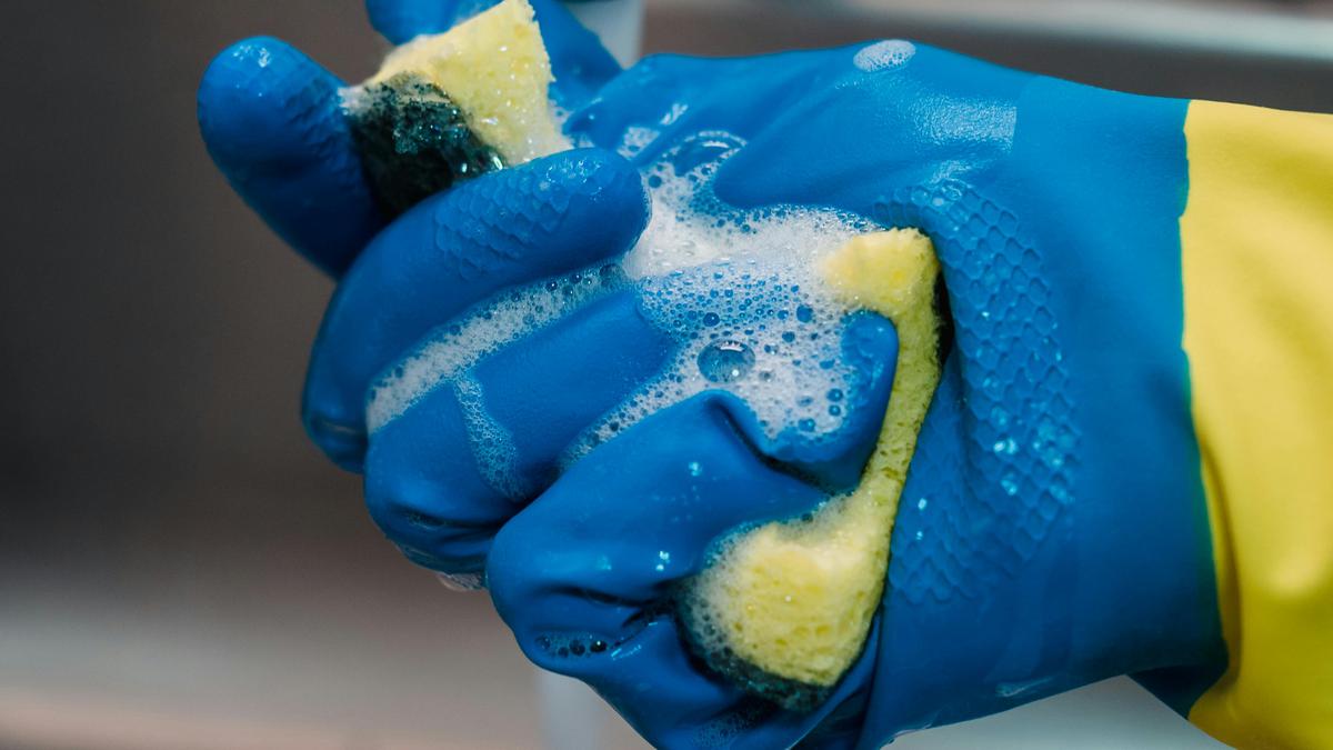 Detergente | Ahorra y limpia bien con estos productos
(Fuente: Pexels)