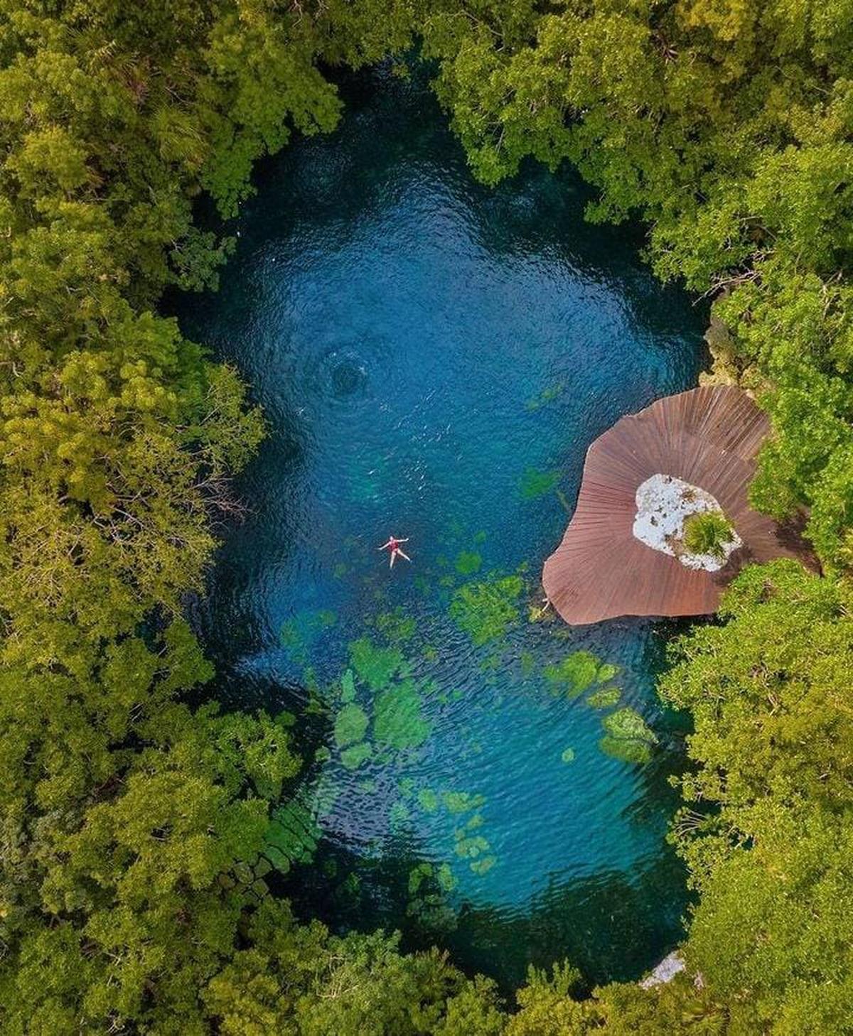 Cenote en Riviera Maya | Una de las actividades que puedes realizar es nadar en un cenote natural (Sandoscaracol/Instagram).