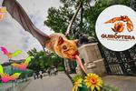 Quiróptera: esto es lo que disfrutarás en el Festival del Bosque de Chapultepec 2024