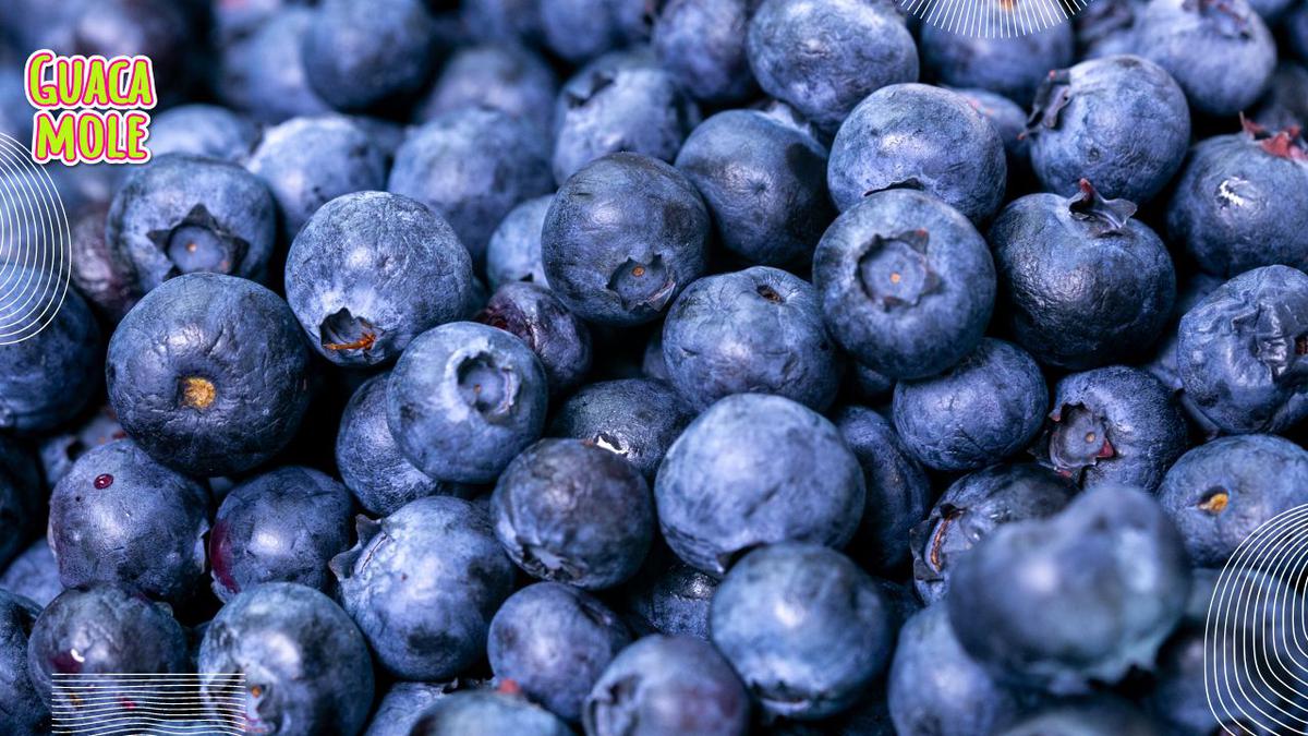 Blueberries. | Estos son los nutrientes de los blueberries. (Canva).