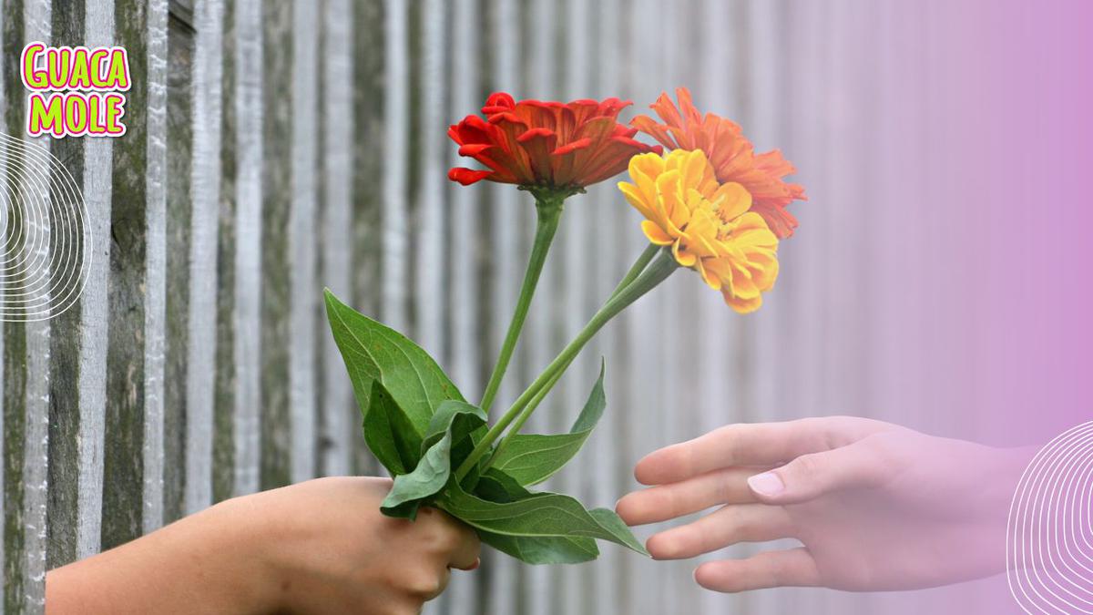 Flores en Año bisiesto. | Conoce porqué debes de regalar flores este día. (Canva).